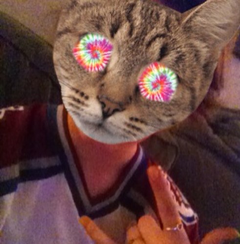 Dearwhoevers's profile picture. The world's unofficial, official, craziest girlfriend.