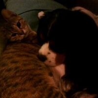 Pol Tanghe (@2plot) 's Twitter Profile Photo