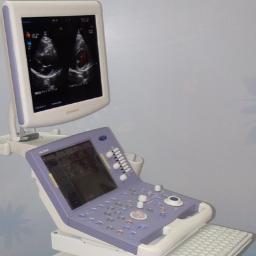 Working as Spare Sales Cordinator at Niranjan Ultrasound india Pvt Ltd,Kerala