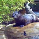 Peter Lewis - @peetwer - Twitter