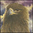 hogycojod's profile image