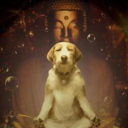 #VEGAN, On a Journey of discovering all that there is to know, right there...Inside myself