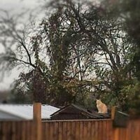 Knorbert (@wilhelmthegreat) 's Twitter Profile