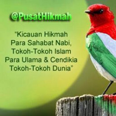 Kumpulan Kata Hikmah (@PusatHikmah)  Twitter