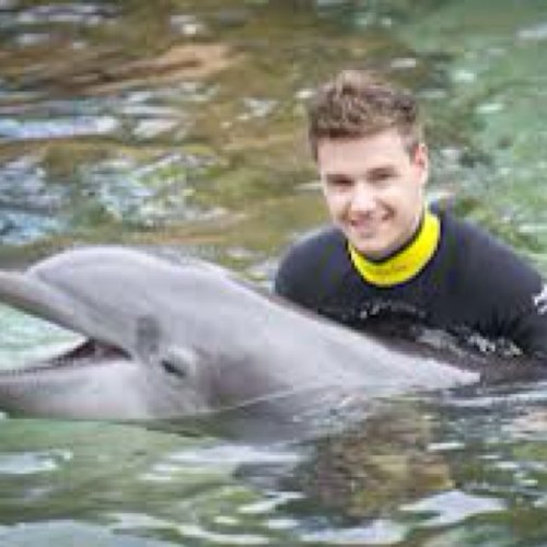 Love @real_liam_payne and @justinbieber!!!
100% Follow Back