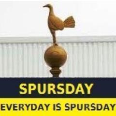 Spursday's profile picture. Everyday is #Spursday! Spurs blogs, articles and opinions on all things from the lane. Like us on Facebook! Email info@spursday.co.uk #THFC #COYS
