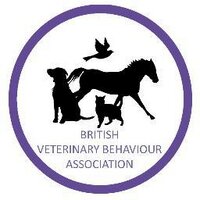 BVBA (@thebvba) 's Twitter Profile