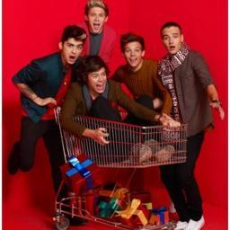 Directioner