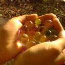 sandhya ramakrishnan - @sandhyark - Twitter