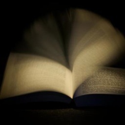 Une simple étudiante qui écrit de la fantasy à ses heures perdues. Elle n'a rien à voir avec le monde de la littérature et pourtant...