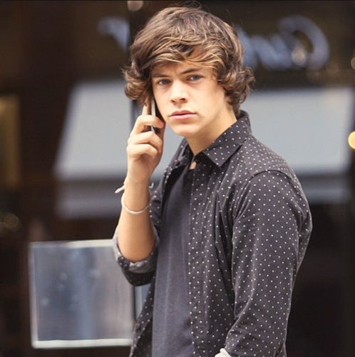 HELLO THERE ,YOU JUST ENTERED NIALL HORAN'S FUTURE WIFE PROFILE . @niallofficial. #teamfollowback :))