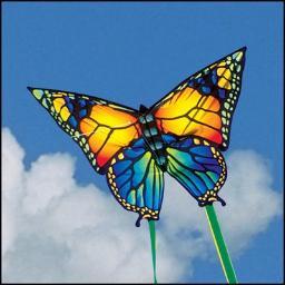 backtobasic22's profile picture. Menyelam ke dasar lautan