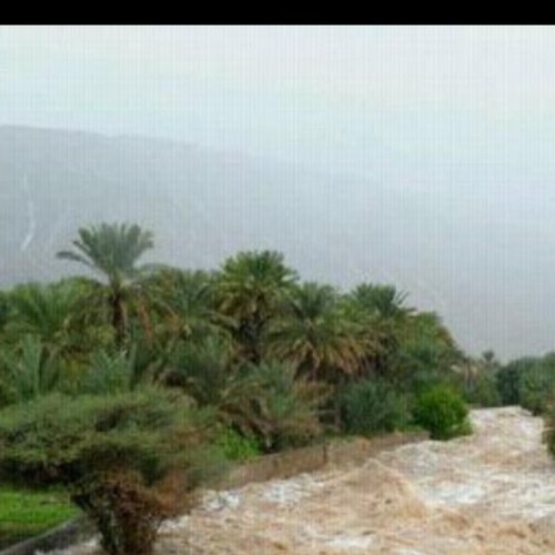 AAllii1398's profile picture. 