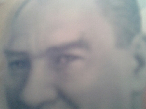 polatemre355's profile picture. 