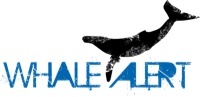 WhaleALERT is up for sale. 10 different versions of domain names as well a Twitter and Facebook accounts. Email contact@whalealert.org for more information.