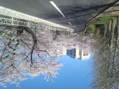都内でひっそりと生活中(最近CRAに転職) 無言のフォロー失礼致します。
