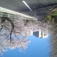 Tom (@tmiku09) Twitter profile photo