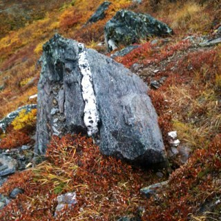 graywolf819's profile picture. Rather than love,than money,than fame,give me truth...H.D.Thoreau