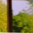 gunillaB_1's profile image