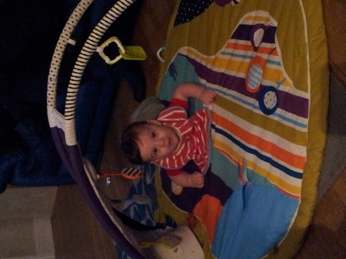 mellyshaw43's profile picture. 