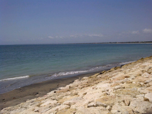 east_new's profile picture. 