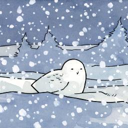 psnowdon38's profile picture. 