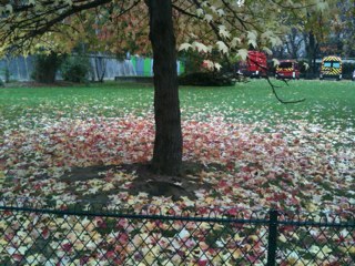 KyoJack's profile picture. 