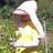 ecotazan's profile image