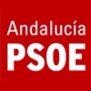 Psoe Lepe Profile
