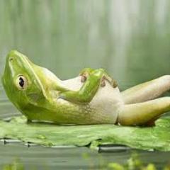 Life is too complicated, you don't have to understand it all