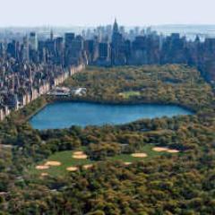 MattyDeanNYC's profile picture. Southern gentleman sharing day to day trials and tribulations of survival, Iiving, loving, and thriving in New York City