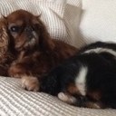 vicky carr - @mardival - Twitter