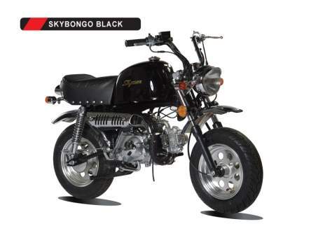 skyteamIndo's profile picture. unique motorcycle that differs from everyone else