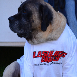 MichaelSchinde1's profile picture. street racing without the jail time