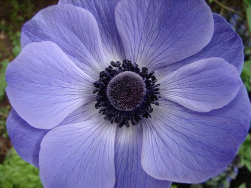 avivamagnolia's profile picture. Butterfly flapping against sealed window...