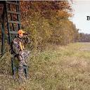 forrest thomas - @forrestthomas3 - Twitter