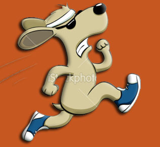 TheYoodle's profile picture. 