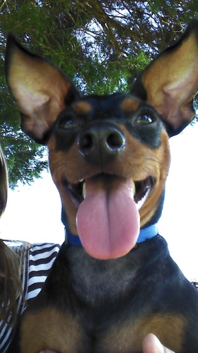 jwilliams4980's profile picture. Niners fan for life!