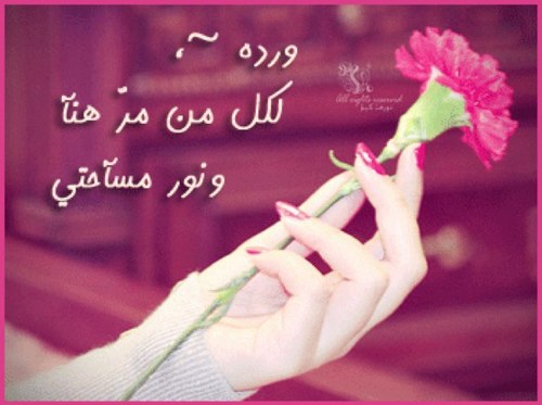 اذكروونا ياأحبة... وبهدوووء ودعونااا. حروفي تتناثر هنا ببطء.. لكن لي الشرف بنقل ماراق لي