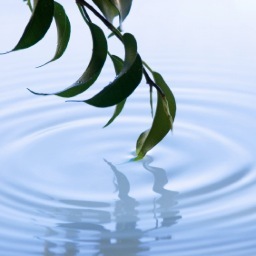 skybalancelife's profile picture. SkyBalance practices functional regenerative medicine. We specialize in health optimization and precision age management.