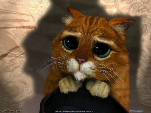 I love james storm so much (SORRY ABOUT YOUR DAMN LUCKxxxxxxxxxxxxxxx