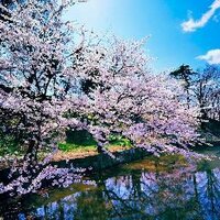 Faruk (@faruk8045) 's Twitter Profile