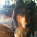 TONY BAPTISTE - @yuccaroper - Twitter