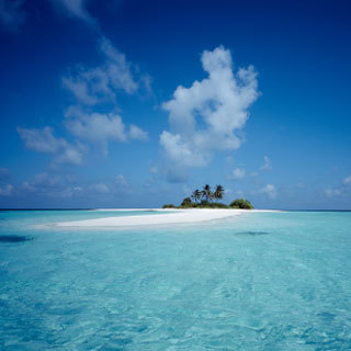 awakened2spirit's profile picture. Awake to Divine Love, Joy, Peace & Happiness that God desires us to have, its all within you. Ask Believe Receive!