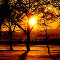 icatmakinesi (@icatmakinesi) Twitter profile photo