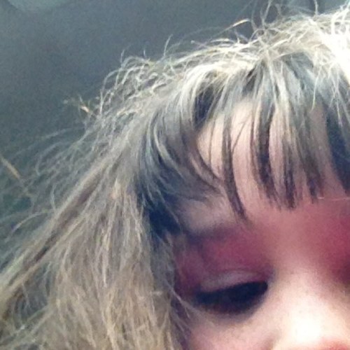 merelyavggolfer's profile picture. 