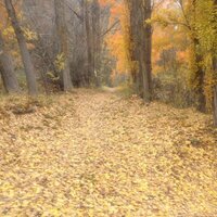 HOSPEDERIA EL BATAN (@elbatan2011) 's Twitter Profile