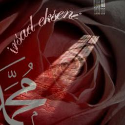 AliRzazermiler's profile picture. 