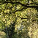 Doug Grover - @douglasgrover - Twitter