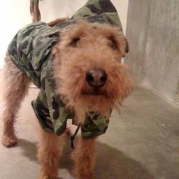 OurPuppyify's profile picture. Love us up OurPuppyify @ http://t.co/ASyUn5Dl